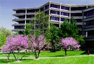 BLDG1