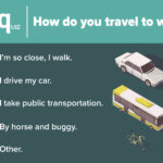 Travel Survey
