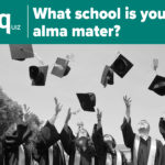 Mem Day Survey