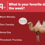 Week Survey