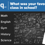 School Survey