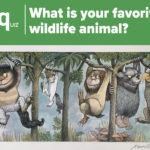 Wildlife Survey